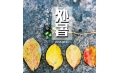 明日處暑，你舍得和夏天說再見嗎？