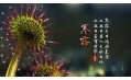 今日寒露 | 裊裊涼風動，凄凄寒露零